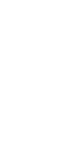 味わうお寿司とお料理